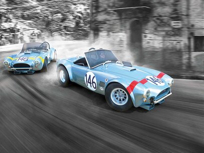 (geschenkdoos) Shelby Cobra 289 (geschenkdoos) Shelby Cobra 289